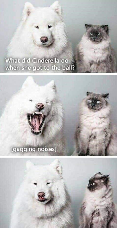 C3CA3CE6-0EE6-4443-A697-26C69D416E78.jpeg