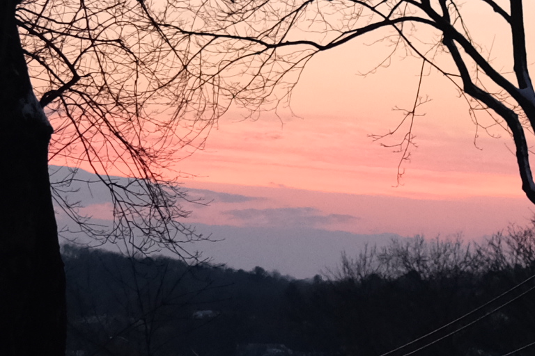 C3FD1D68-C4C3-46EF-8921-FE7DDD1B8818.jpeg