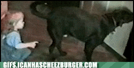C4AD3A8D-2E05-41F2-845D-D52DE6AE8486.gif