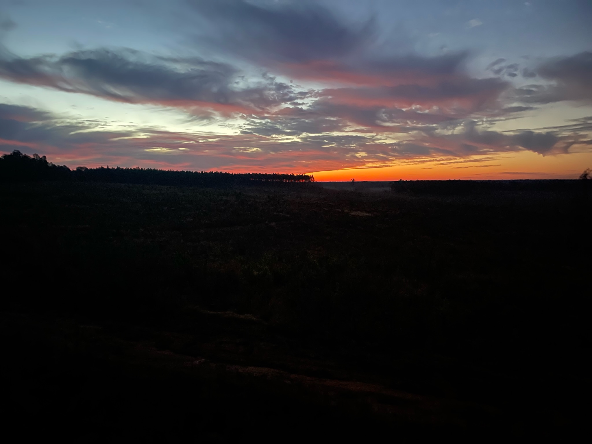 C4E85C1D-BFFC-4AA4-8DBC-578667589E1C.jpeg