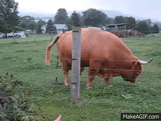 C5ED09DB-A335-413A-88F6-C9382E252A9C.gif