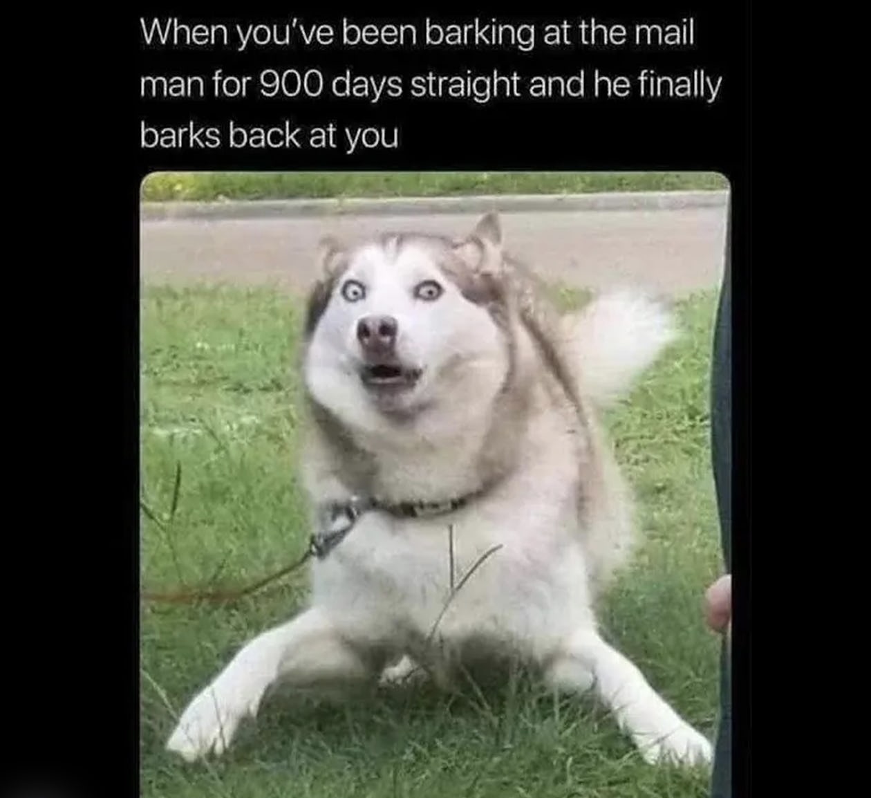 C5F96E6F-D6F6-40E5-939A-08097DB515D7.jpeg