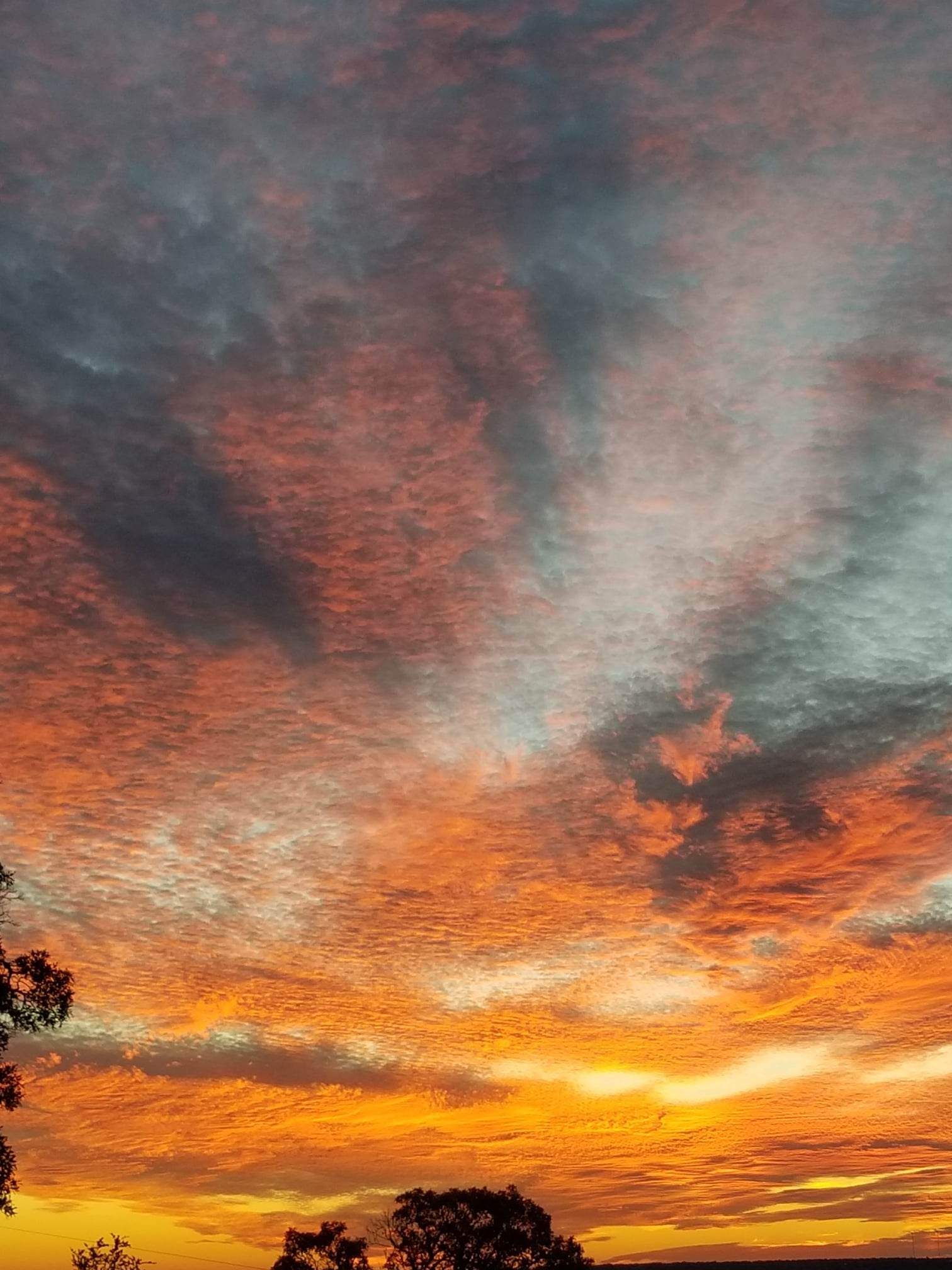 C6287CCD-EF3F-45B4-82ED-4DA33FF01034.jpeg