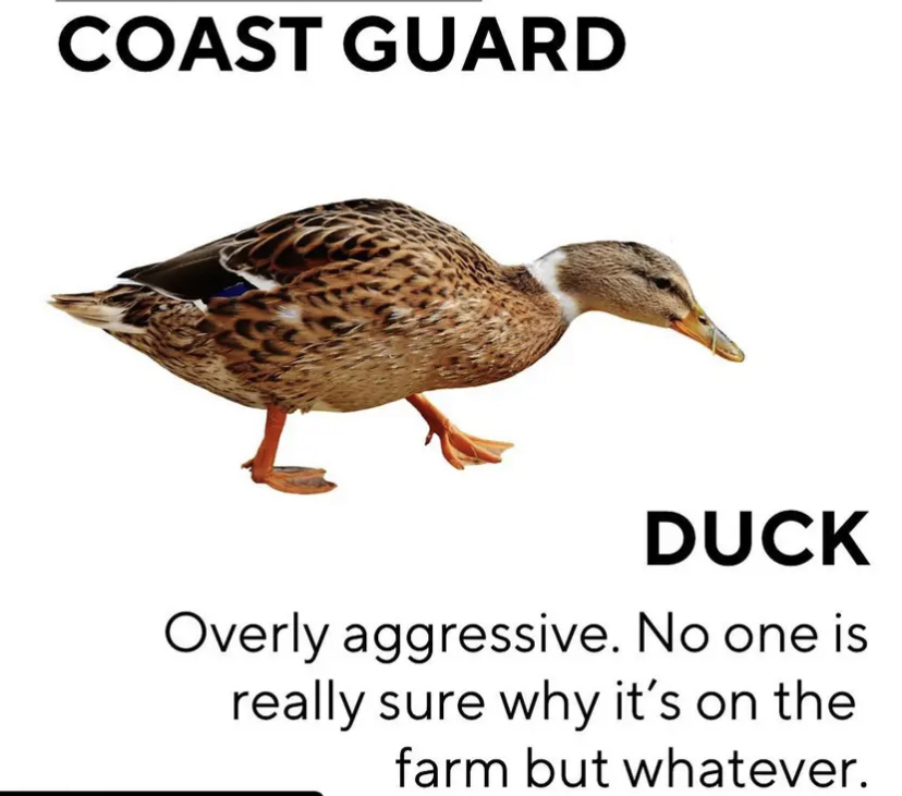 C6B32DA9-BA34-42B8-BAA5-3095FDE7526E.jpeg