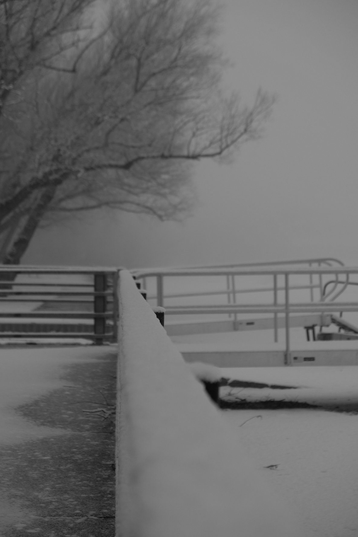 C6DC9985-5077-4AAF-AA3A-F36866623C9D.jpeg