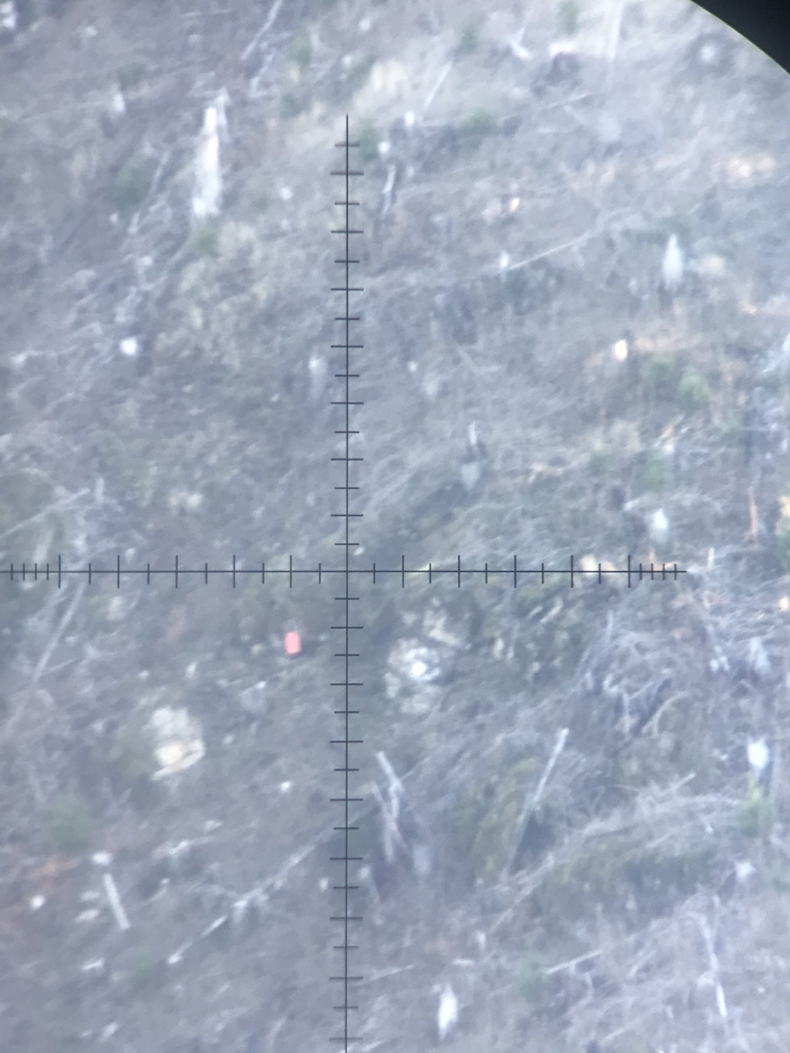C6DD0673-CEBF-4ABA-9666-738EB241986C.jpeg