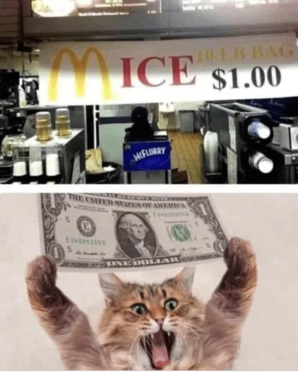 C76C5354-0DCA-4945-B26E-C88242D450FE.jpeg