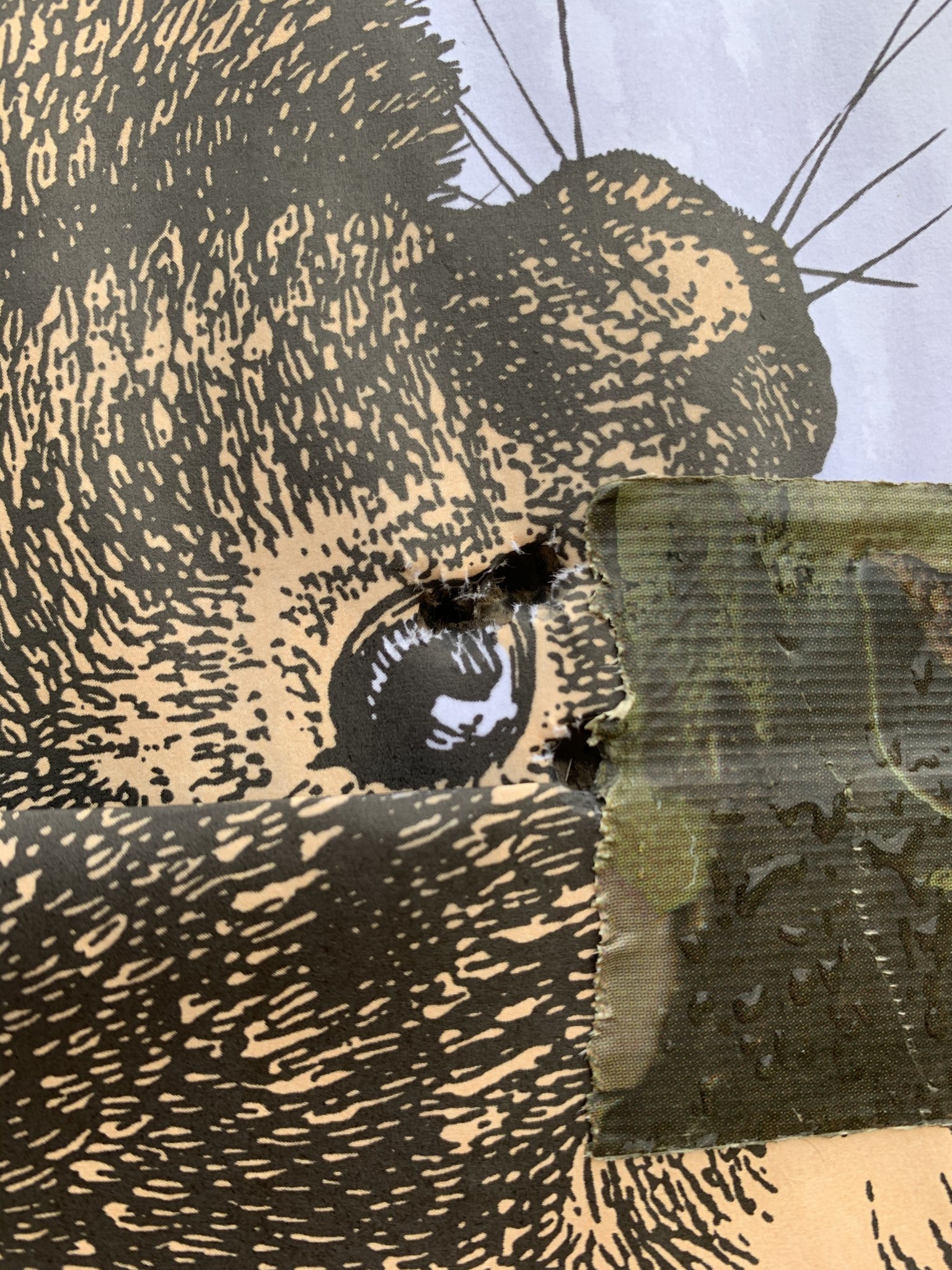 C774541A-964D-4493-8B19-7334E292C4C7.jpeg