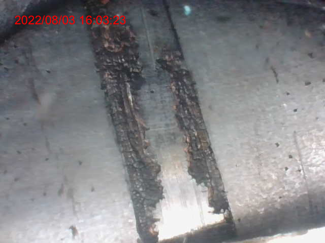 C77EE972-0DE5-496B-8956-6B259CB30164.jpeg