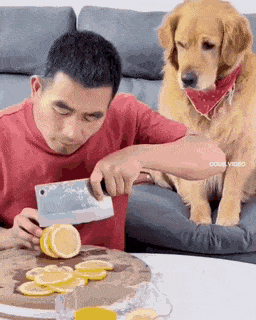 C84130C6-72E3-4A3F-AE99-998AE692EE66.gif