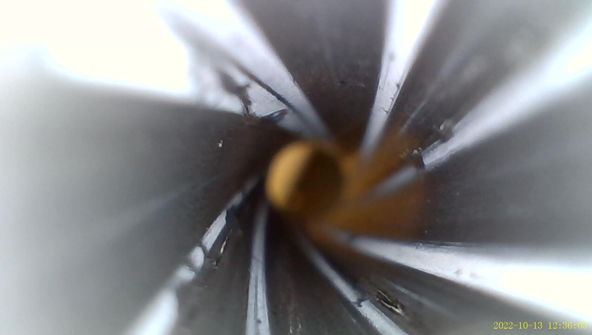 C8769C90-0192-49DE-A233-8E015168B416.jpeg