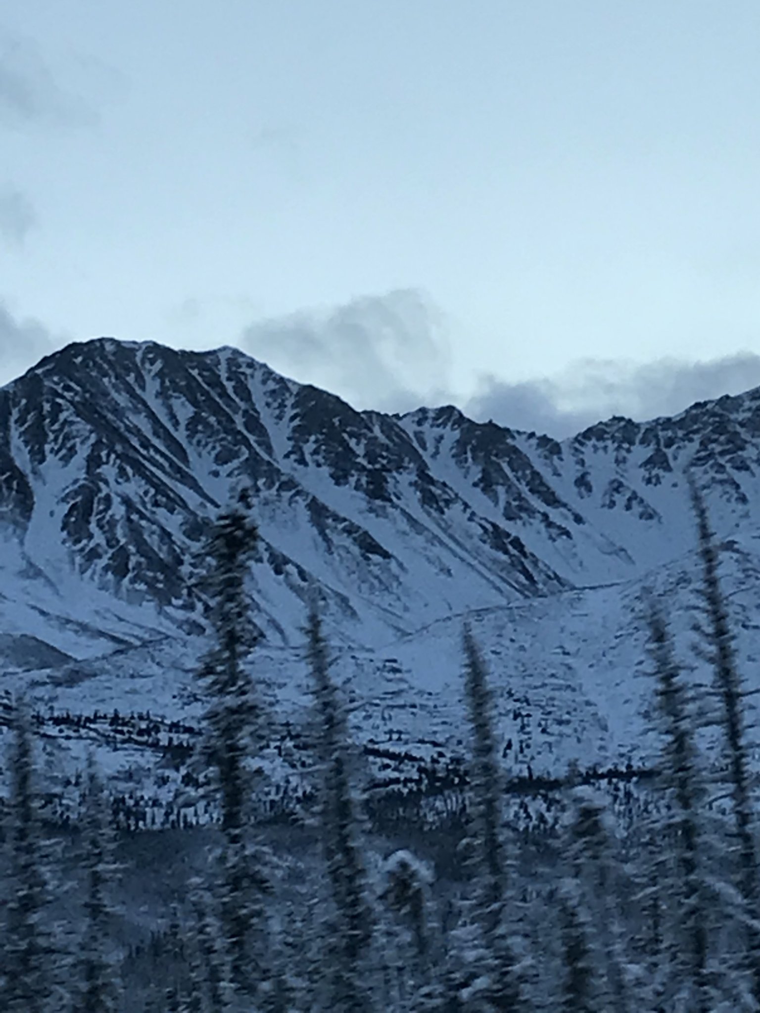 C8D58436-EE34-4673-968C-BDFB87964F3B.jpeg