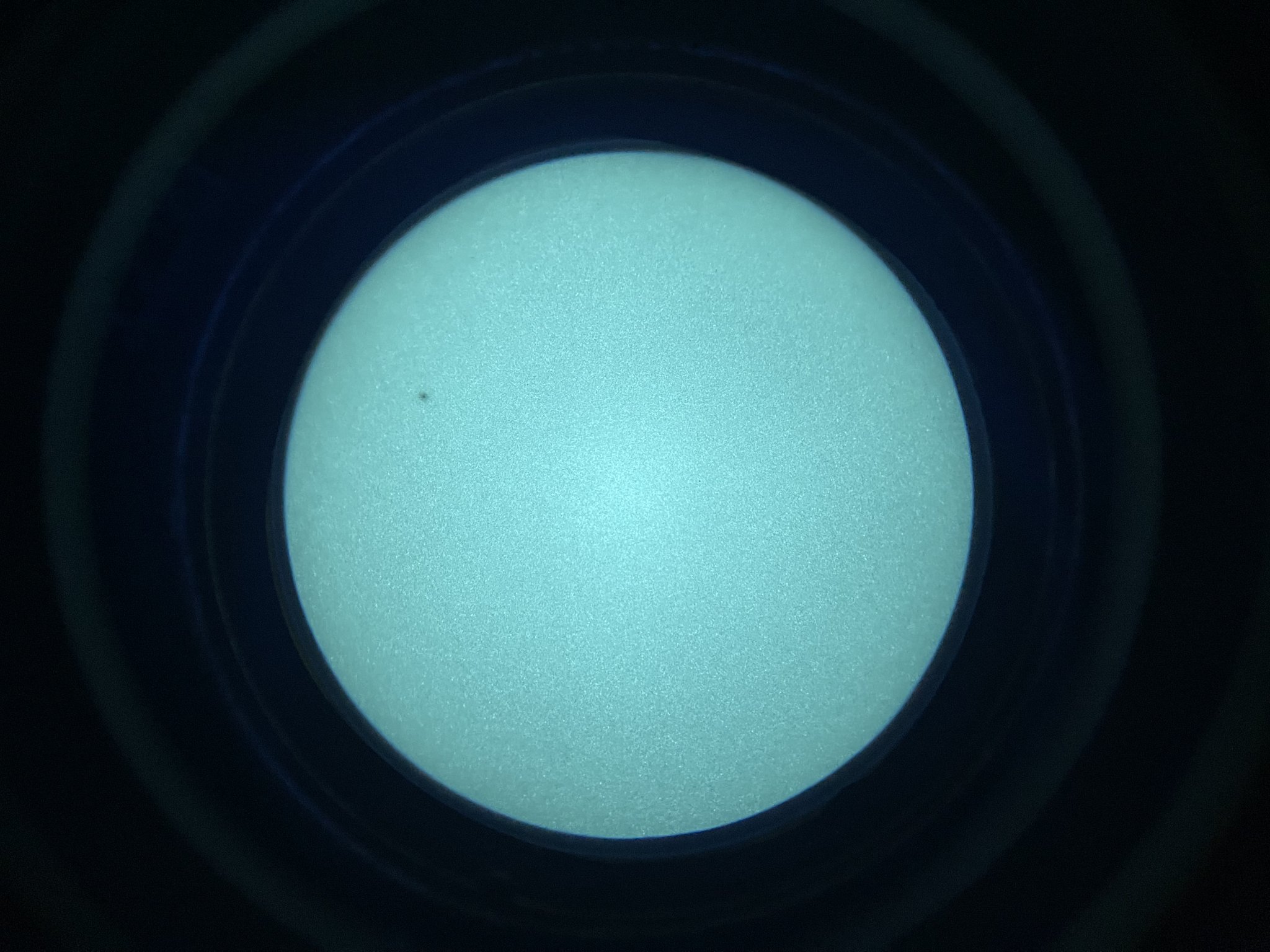 C91A2130-4234-440D-9882-15155D1691C0.jpeg