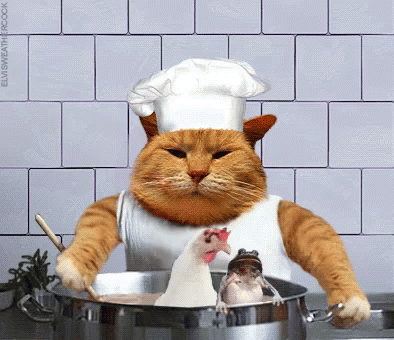 C9218448-96CA-4B2C-93D0-514DF049C014.gif
