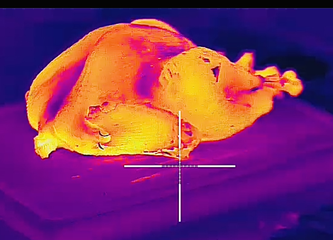 C931A9F3-2484-4549-884F-40E8B103F8E6.jpeg