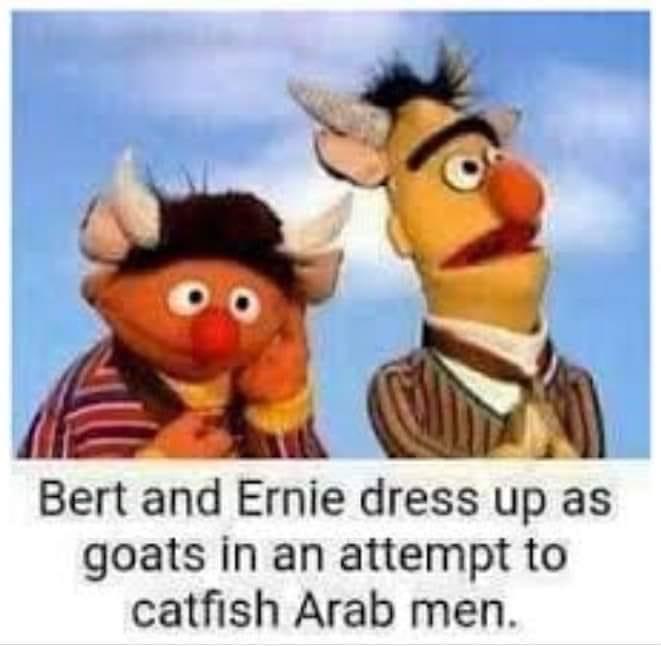 CA15FBD7-0085-443E-BA70-DE908EA9550C.jpeg