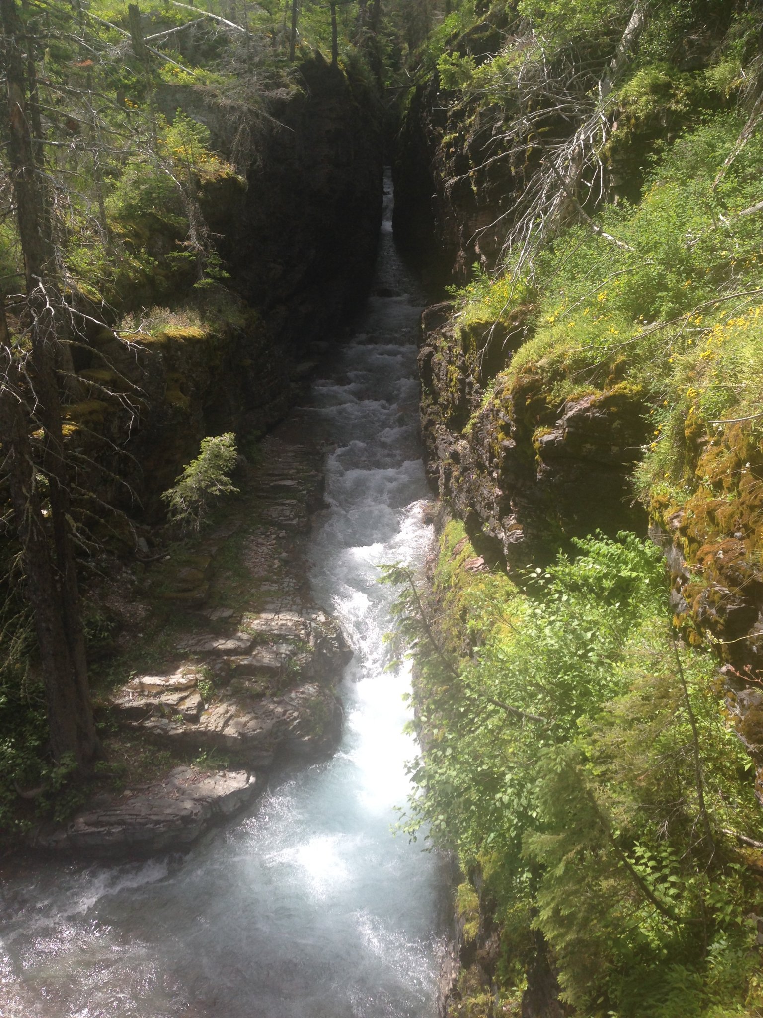 CA166D80-E235-46B6-89FD-3C85151820EA.jpeg