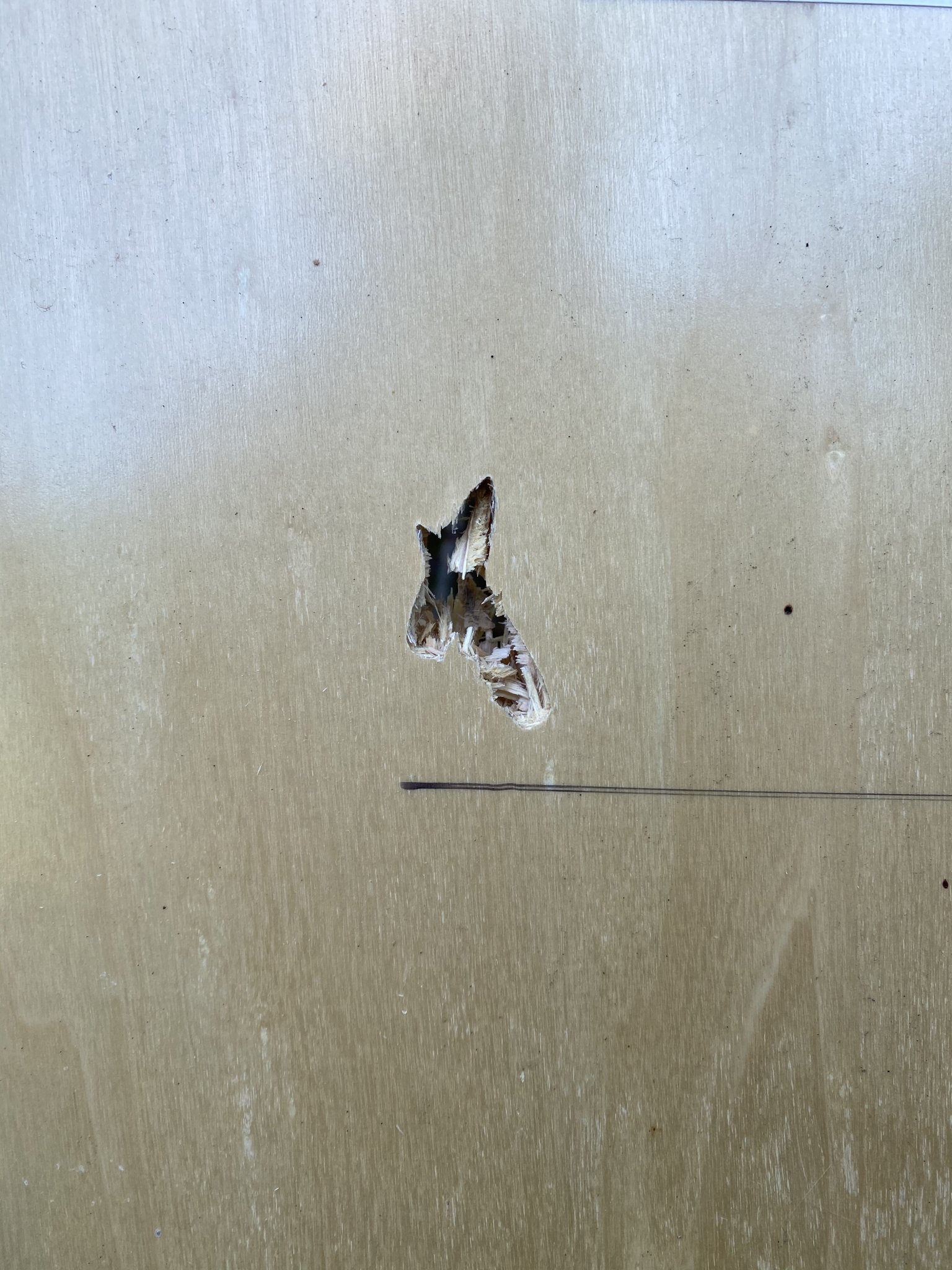 CA2B86BF-73DB-4848-882E-AD8E096B7AD7.jpeg