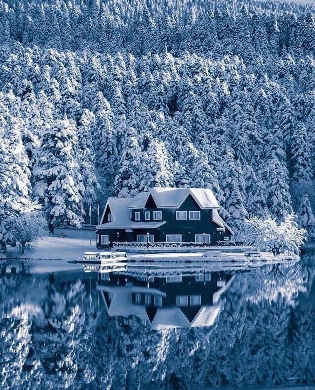 cabin reflect.jpeg