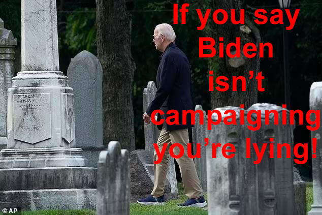 campaign.jpg