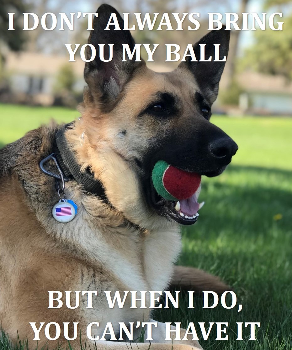 Can't have it.jpg