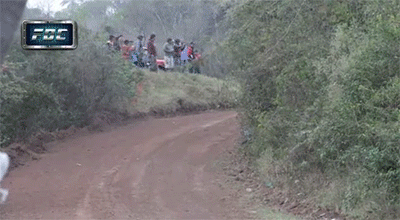 car jump dog.gif