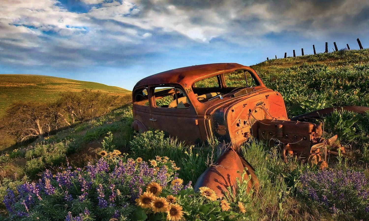 car.thumb.jpeg.fe2dd92d66d5f951fe45e608a69028f1.jpeg
