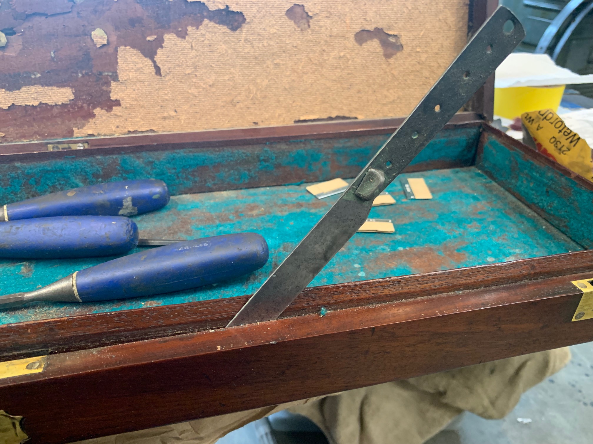 case 5.jpg