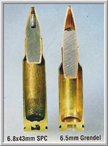 case section.jpg