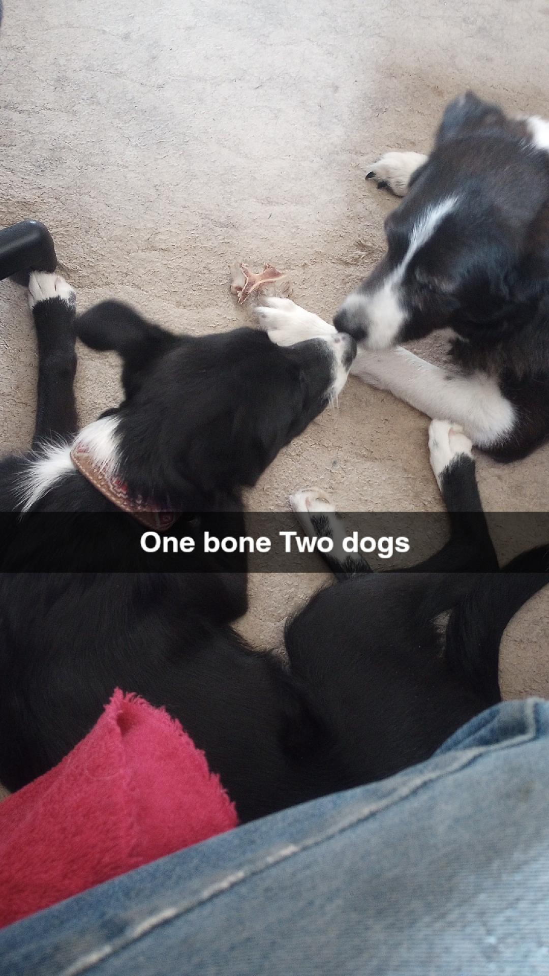 Cash n D bone.jpg