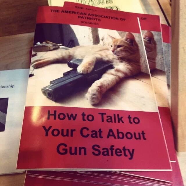 cat-gun-safety.jpg