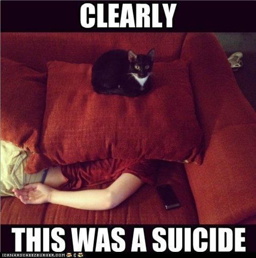 catpillowsuicide.jpg