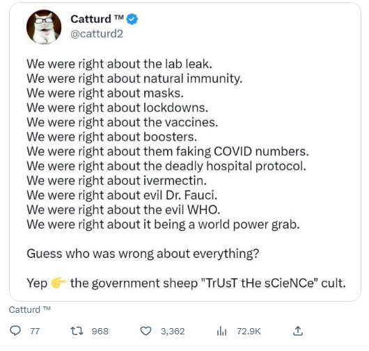 CatTurd.png