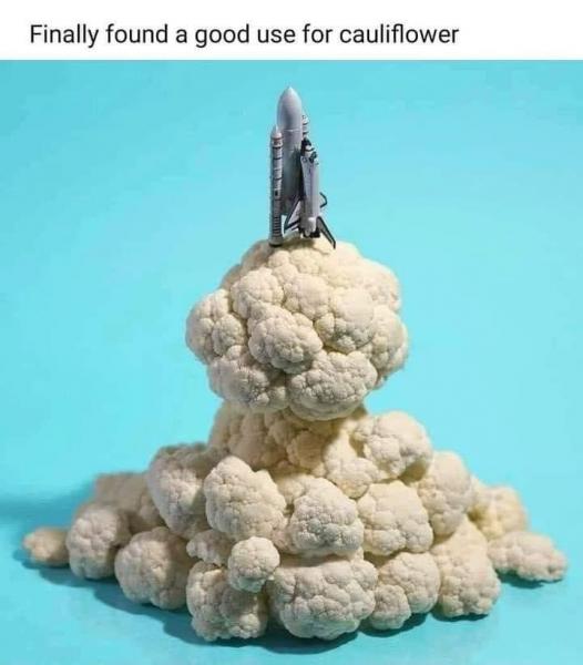 Cauli.jpg