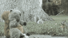 CB24FD6C-3B44-43B6-8C4A-E999A260E58F.gif