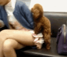 CB3758CC-FBA0-47E8-A067-30B8054FE097.gif