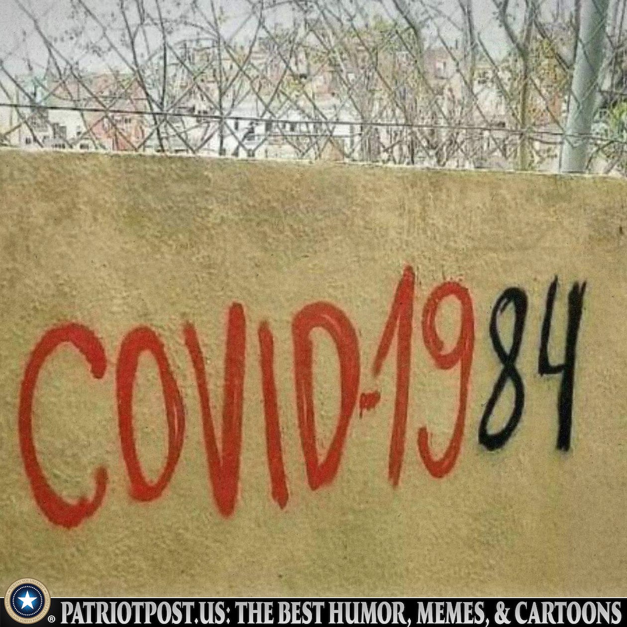 CBDCCAB1-B7F4-4EFB-B70A-D4AE6B73BC34.jpeg