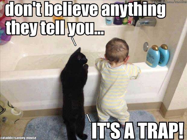 CC9FA5A9-D880-4B24-9E53-33E5A2548893.jpeg