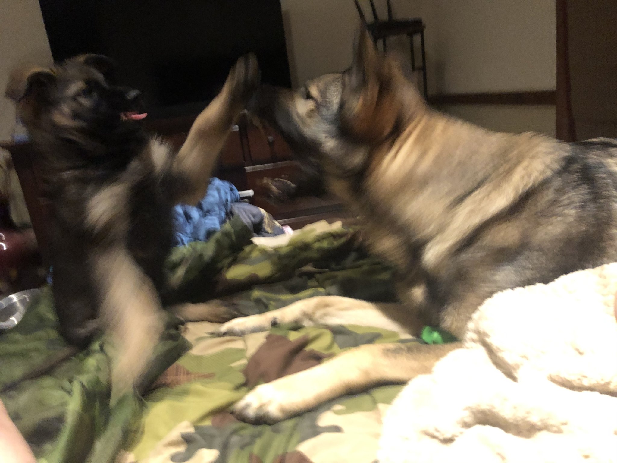 CE0F1144-1B23-4258-9CAA-8721F44E6FF7.jpeg