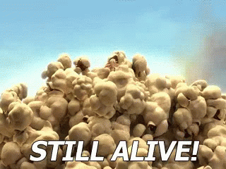 CE70442E-2308-4074-946E-462A64104246.gif