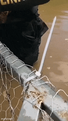 celebrating_bluecollar_creativity_640_13.gif
