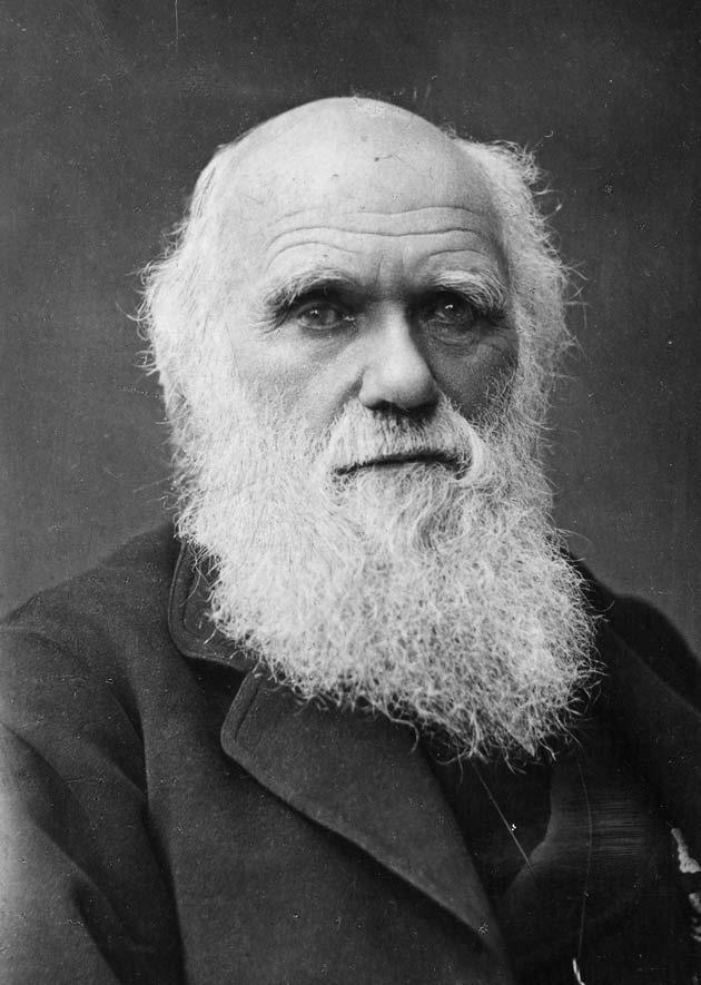 Charles Darwin .jpg