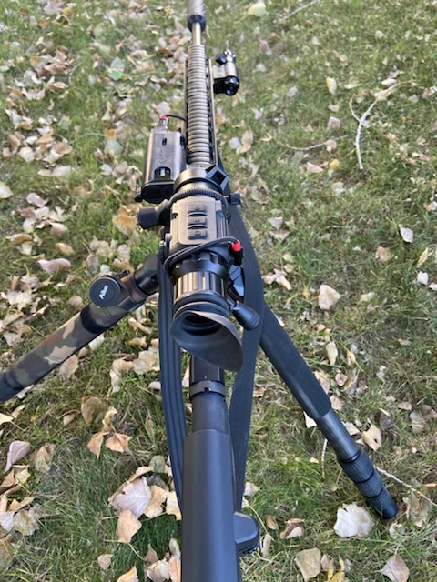 chassis2.jpg