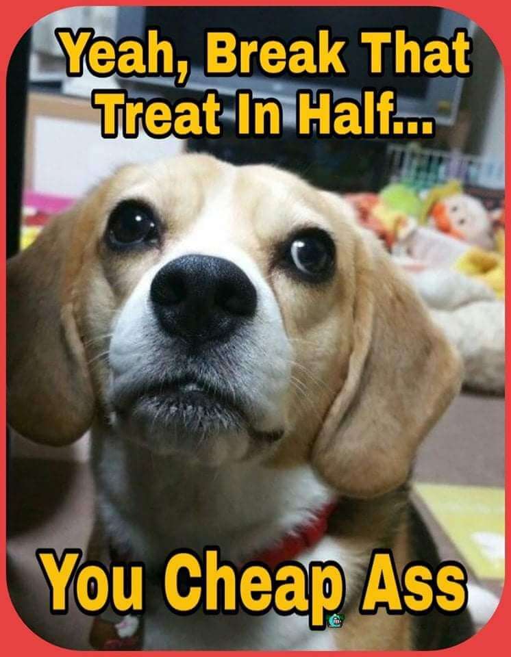 cheap.jpg