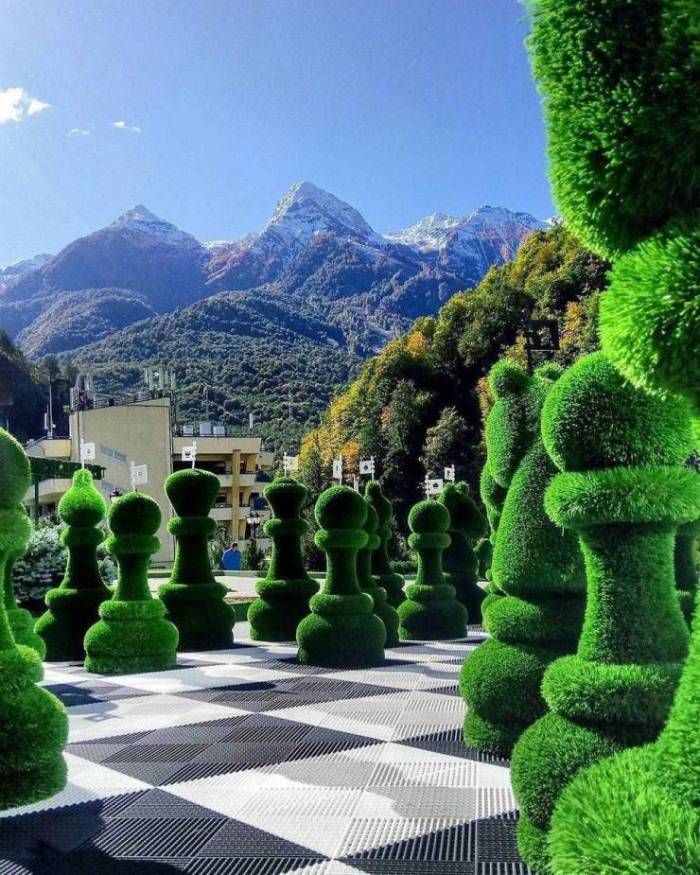chess yard.jpeg