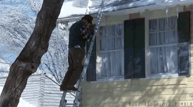 chevy-ladder.gif