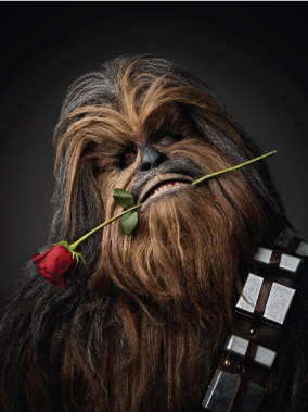 chewie.jpg