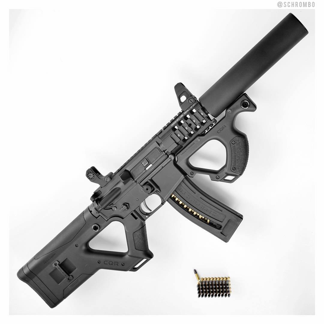 Chiappa M4-22.jpg