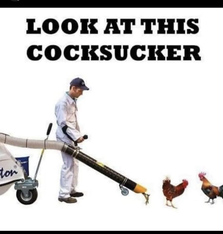 Chicken humor.jpeg