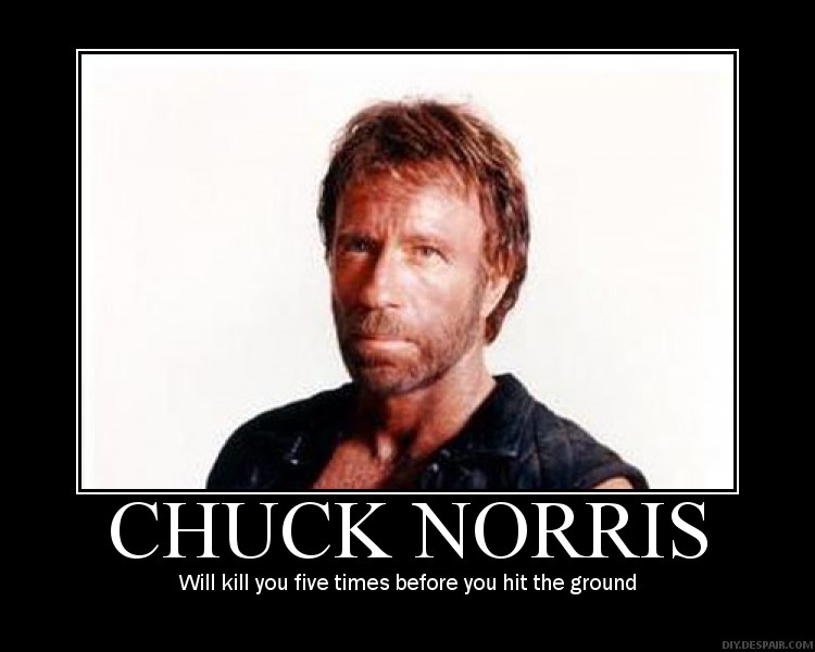 Chuck_Norris_demotivational_by_randomgibberish.jpg